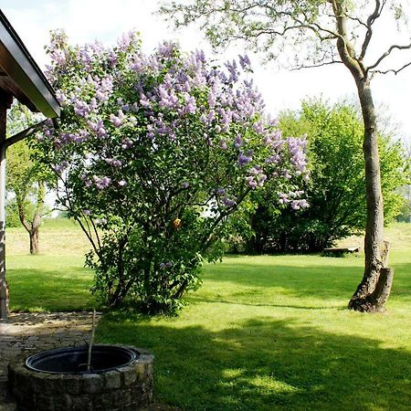 Fewos In Klein-Grindau Schwarmstedt Exteriér fotografie