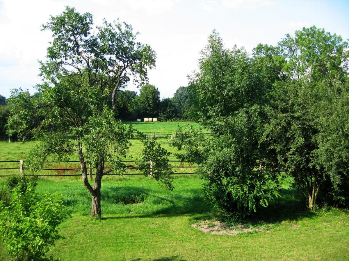 Fewos In Klein-Grindau Schwarmstedt Exteriér fotografie